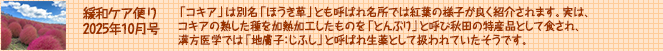 ¥ؤ 10